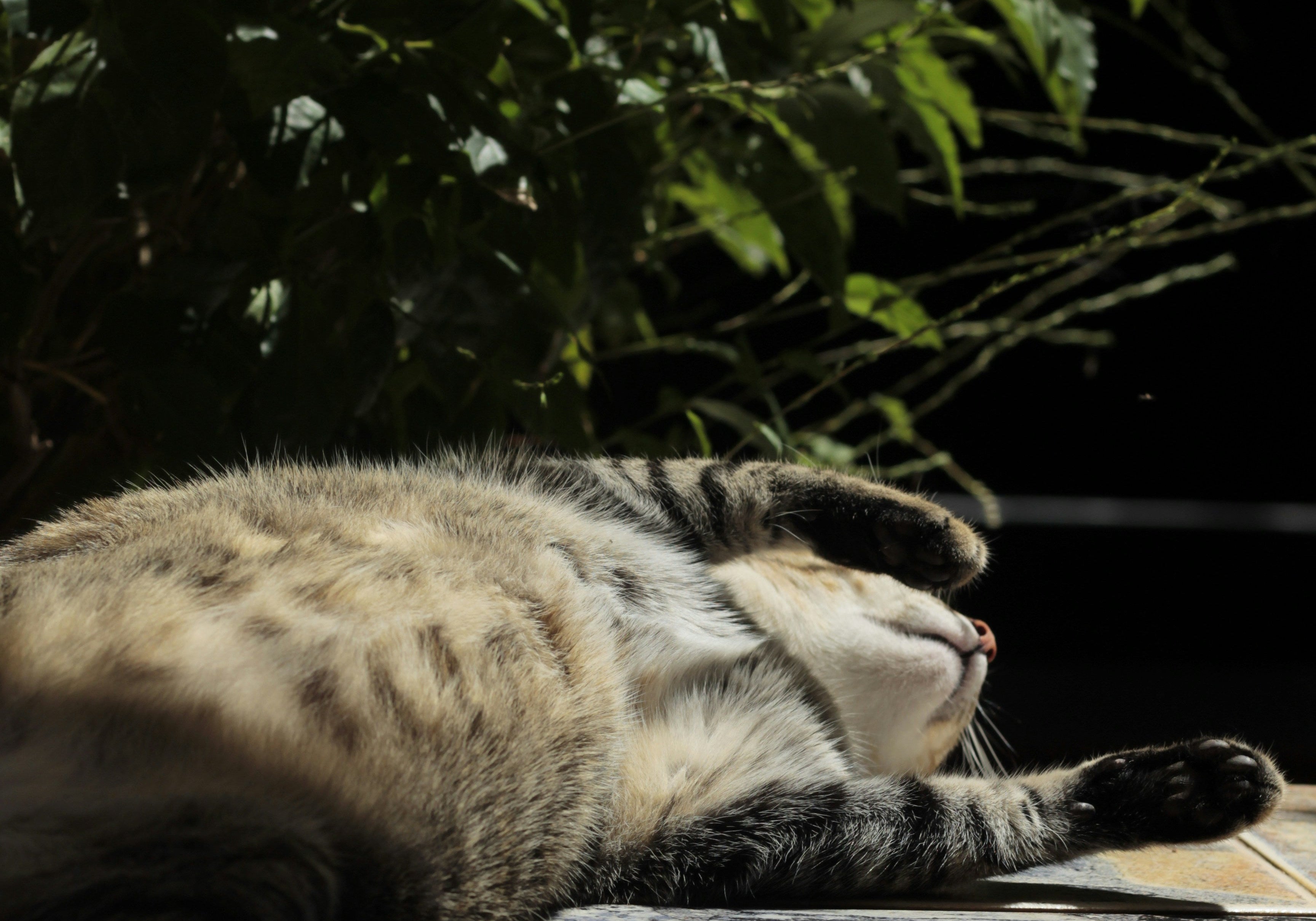 Why Rest Is Productive, And Why You Don’t Need To “Earn” It