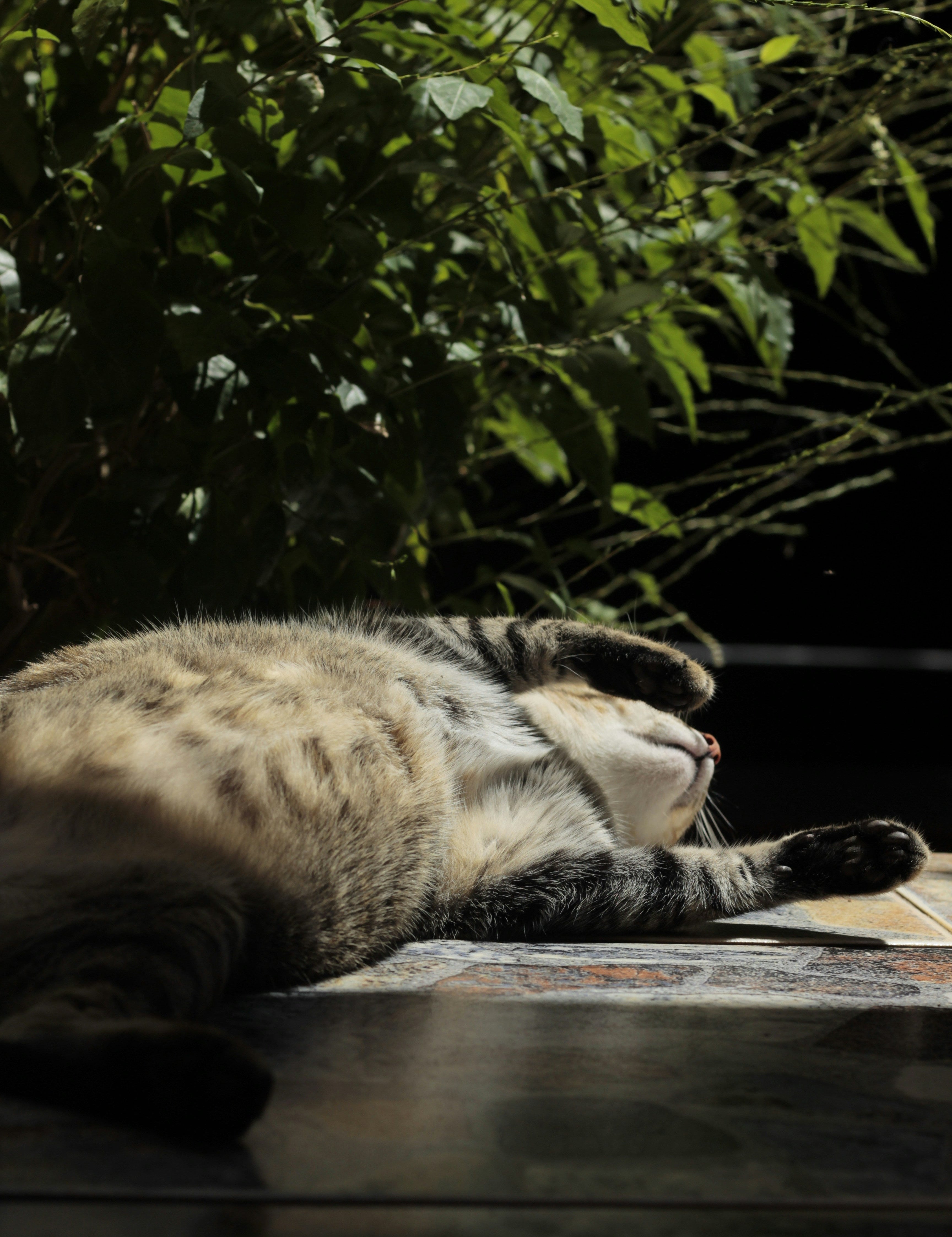 Why Rest Is Productive, And Why You Don’t Need To “Earn” It