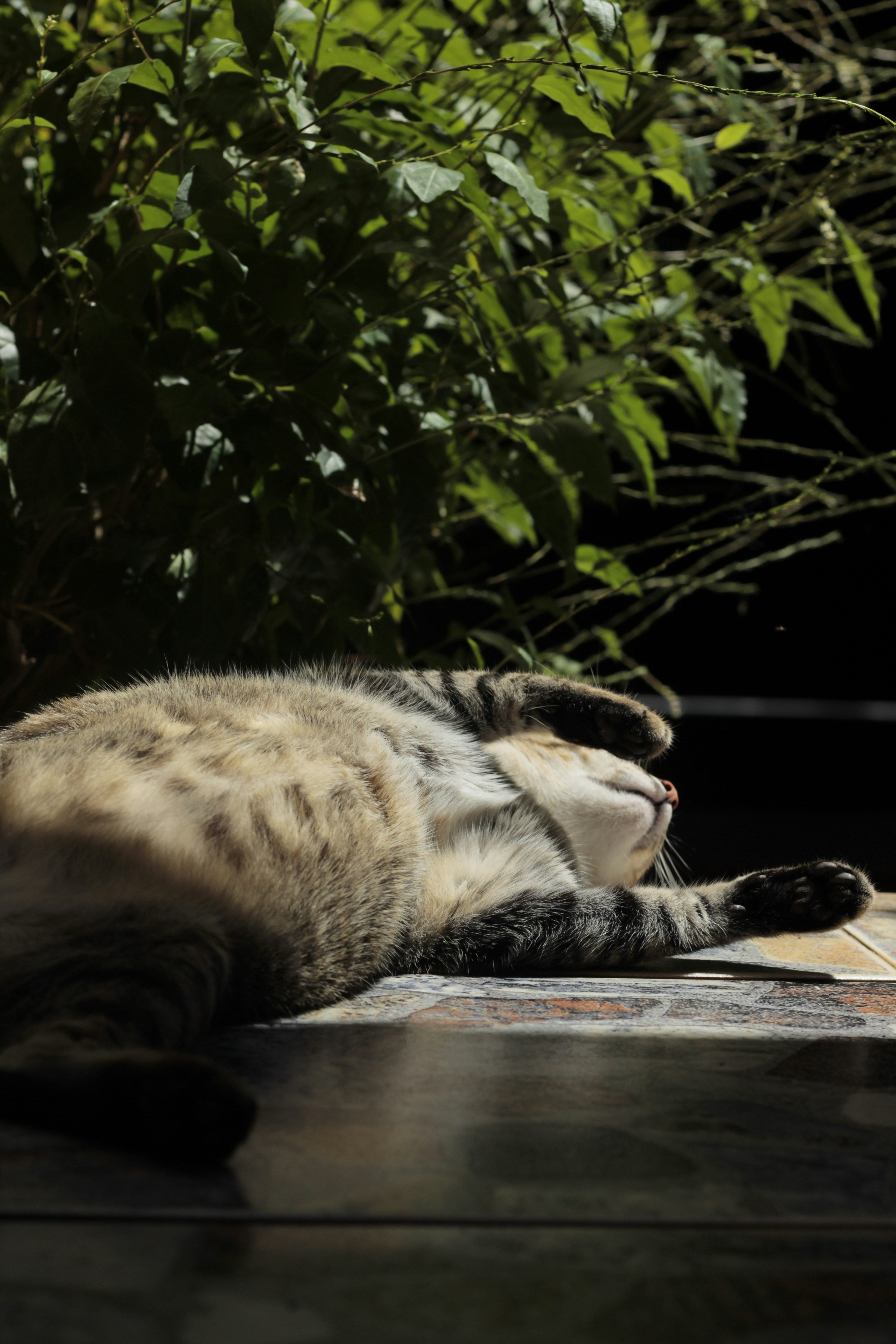 Why Rest Is Productive, And Why You Don’t Need To “Earn” It