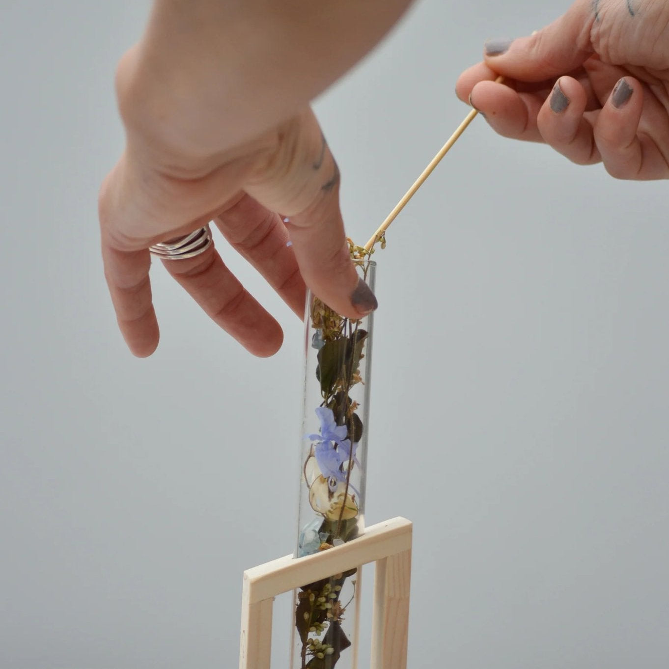 Botanical Scent Diffuser - I Am Vibrant - Better Tea Co.