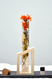 Botanical Scent Diffuser - I Am Vibrant - Better Tea Co.